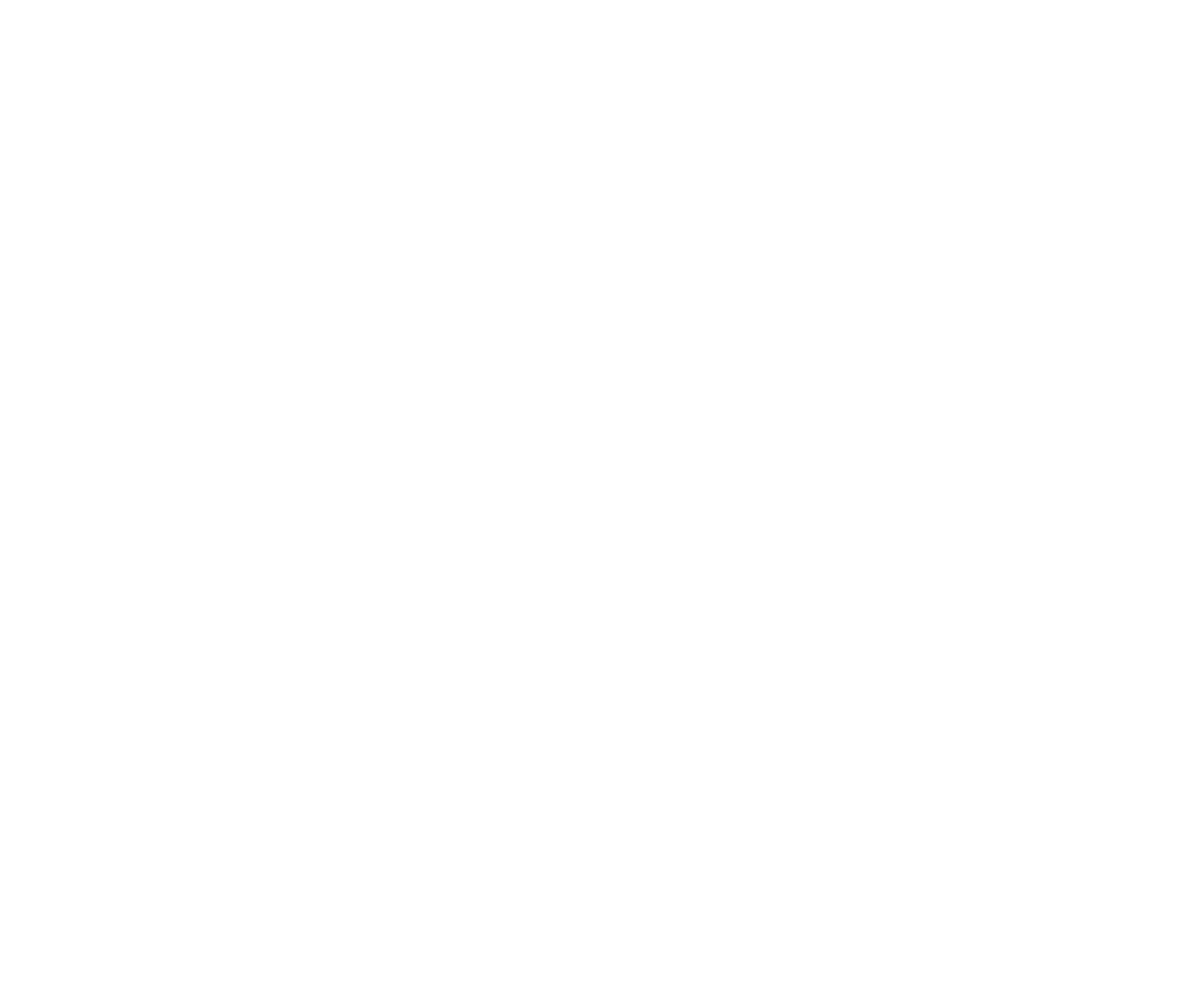 Raider Camo Gun Skins