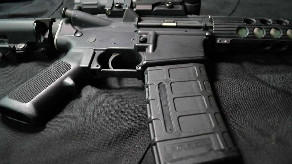 9 Best AR-15s on the Market for the Money - GunSkins