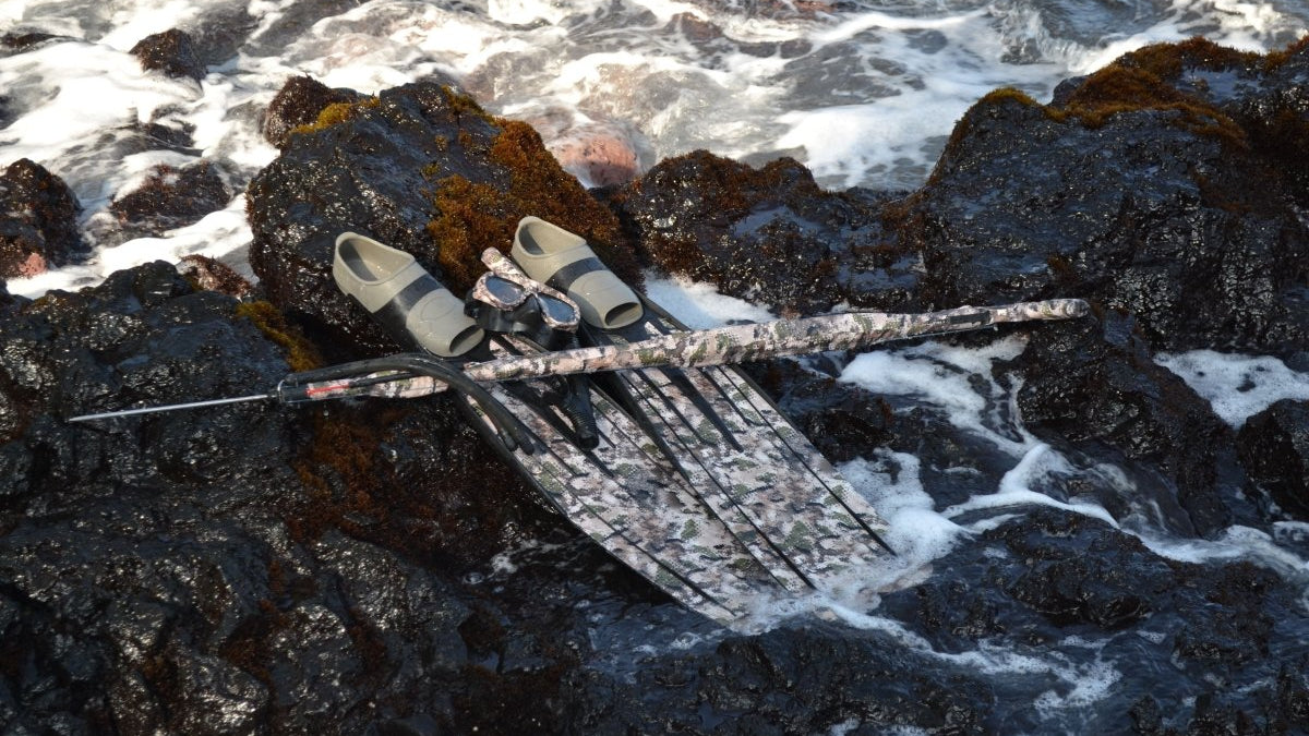 Bass Fishing: 10 Tips To Catch Your Trophy - GunSkins