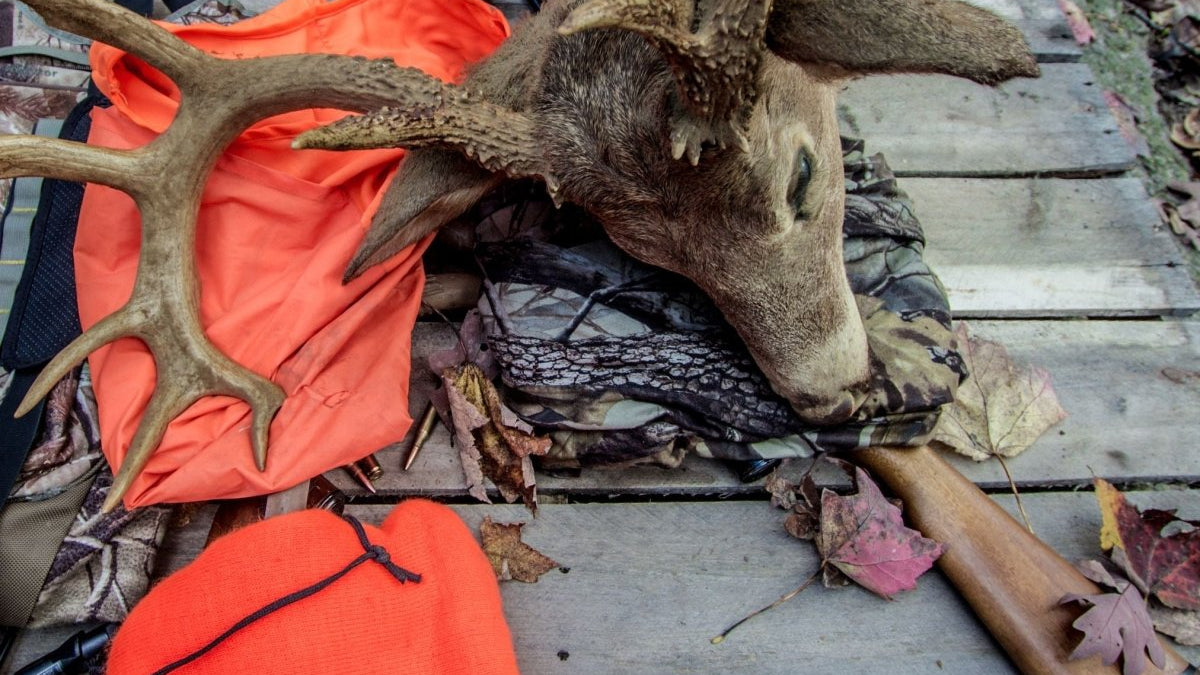 Field Dressing 101: Best Practices To Preserve Your Kill - GunSkins