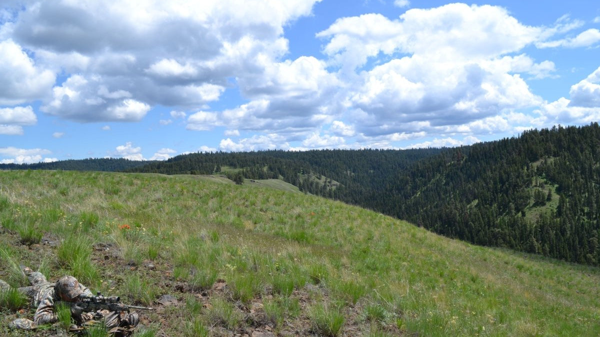 Know Before You Go: Montana Hunting Season - GunSkins