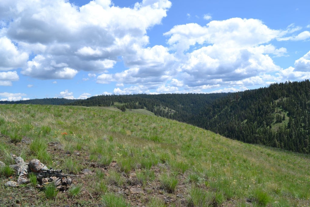 Montana Hunting Season GunSkins