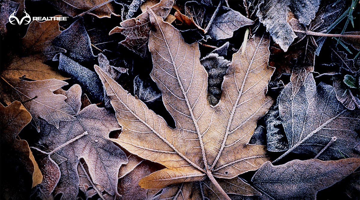 RealTree® Camo for GunSkins Coming Soon! - GunSkins