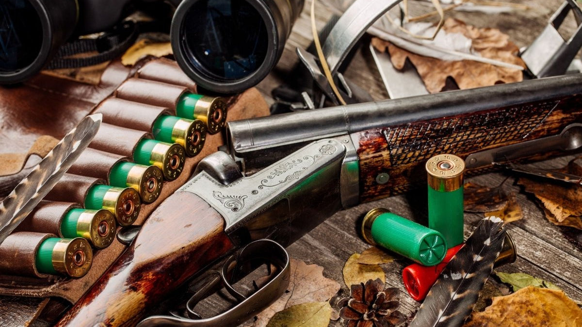 What Is the Best Disk Shooting Gun? - GunSkins