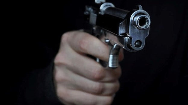 Who Is Prohibited from Owning Firearms Under Federal Law?