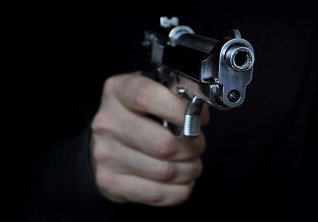 Who Is Prohibited from Owning Firearms Under Federal Law?