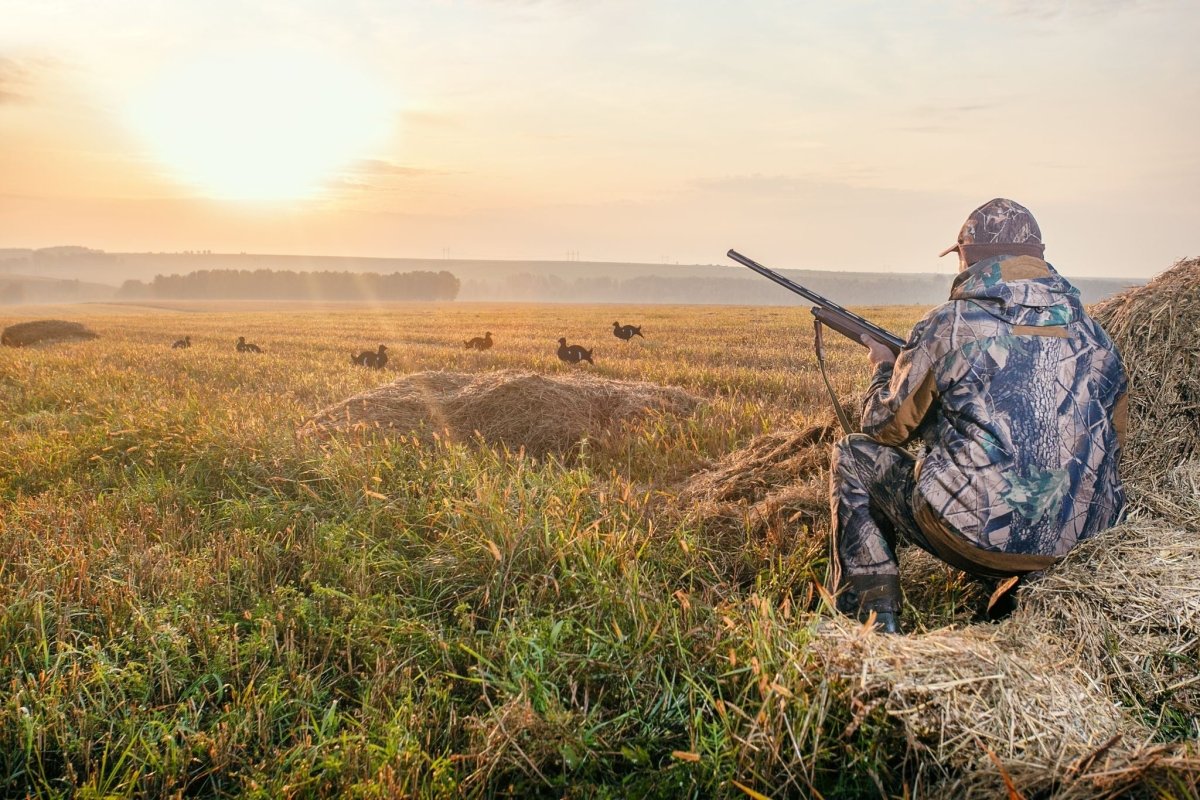 Why Hunting Is Good for the Environment - GunSkins