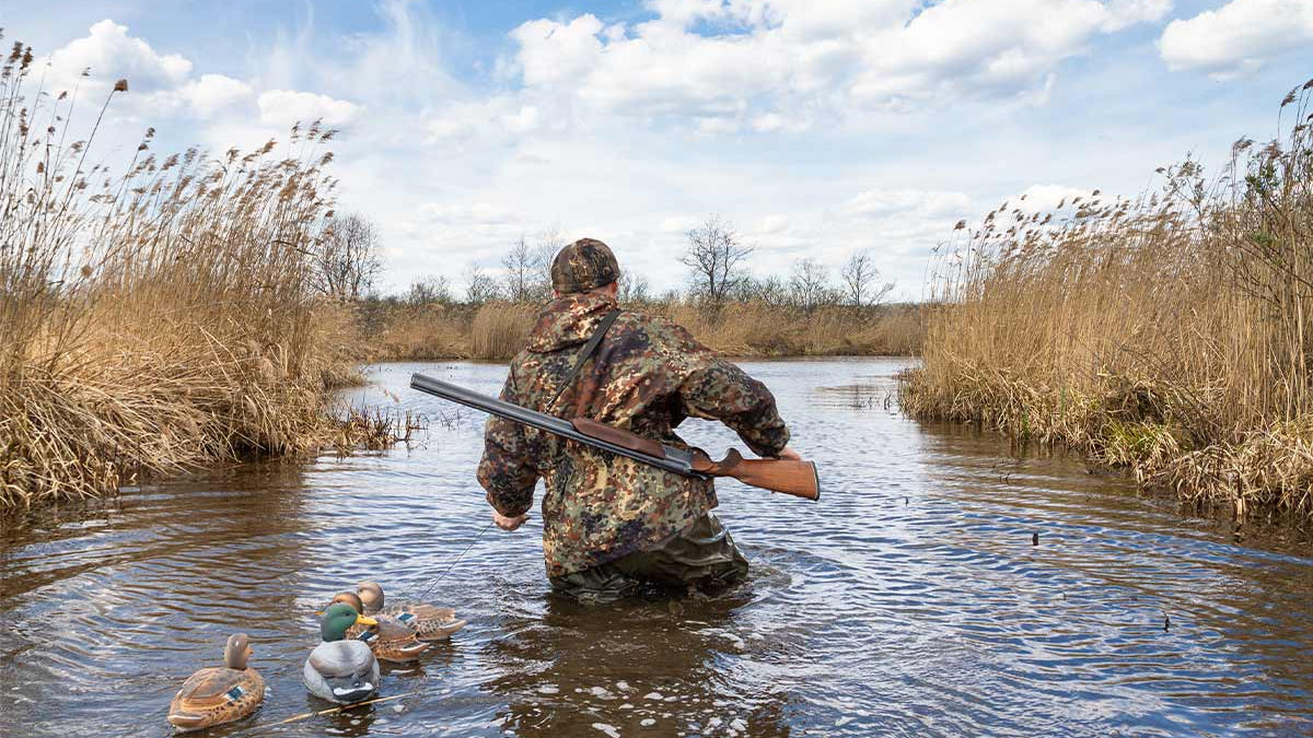 World of Wingshooting: What is Mixed Bag Hunting? - GunSkins