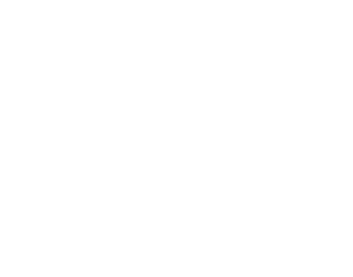 King's Camo Gun Skins