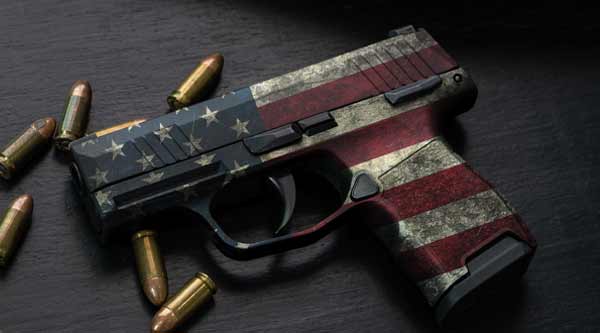 P365 Gun Skins