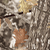 JUST HUNT