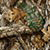REALTREE