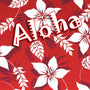 AR - 15 Mag Skin (Aloha) - GunSkins