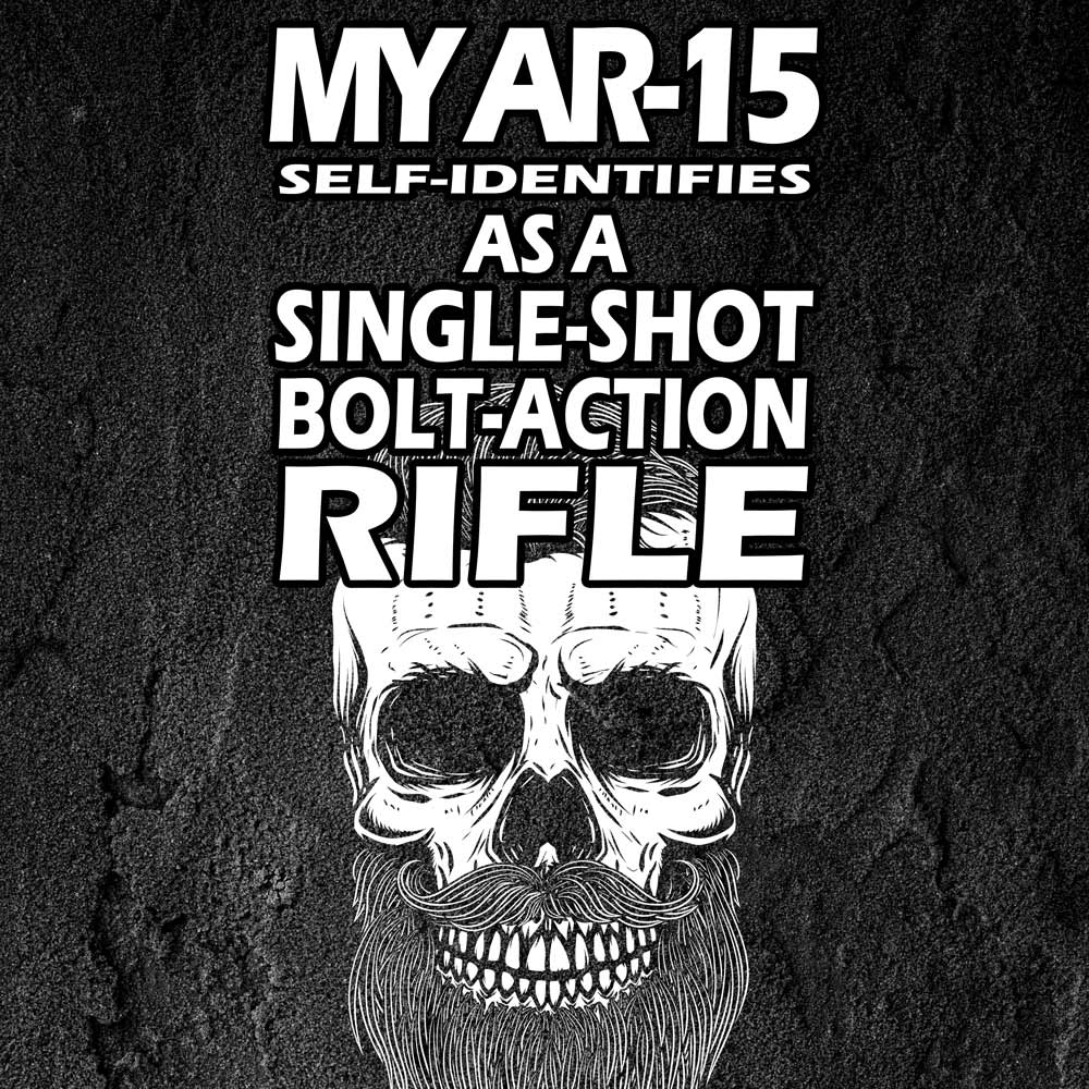 AR-15 Mag Skin (Self-Identity) - GunSkins