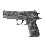 Pistol Accent Skin for Sig P226 (Legacy) - GunSkins