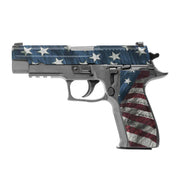 Pistol Accent Skin for Sig P226 (Legacy) - GunSkins