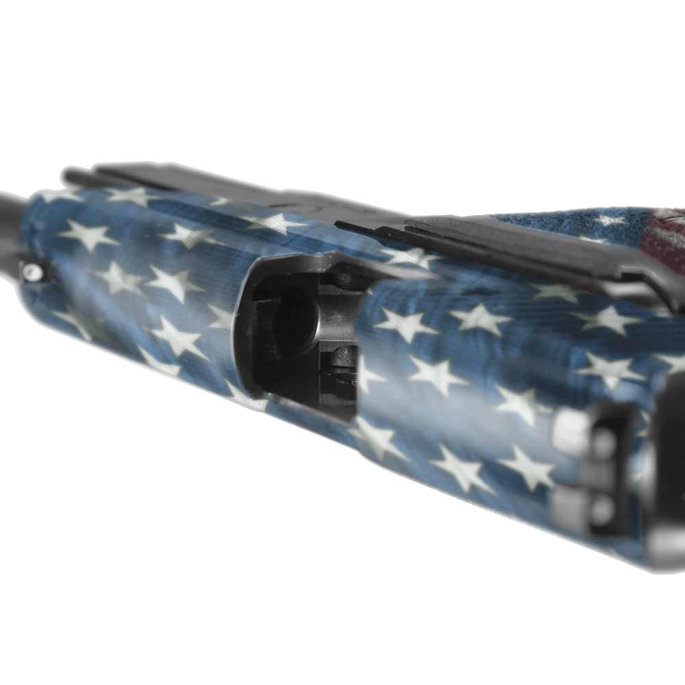 Pistol Accent Skin for Sig P226 (Legacy) - GunSkins