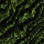 Gear Skin Medium (8x15) - GunSkins