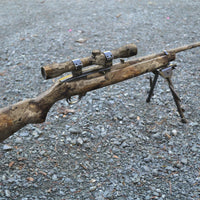 Rifle + Scope Skin Bundle - GunSkins